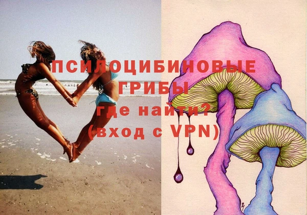a pvp Алзамай