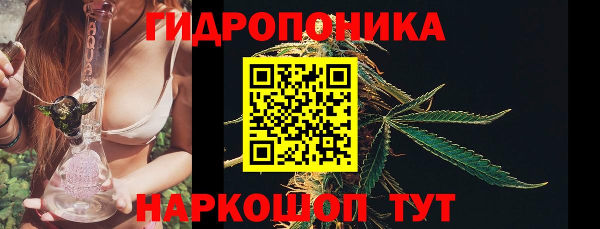 Бошки марихуана ГИДРОПОН Мыски